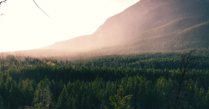 Living With Chronic Pain: What Happens When It Goes Unaddressed